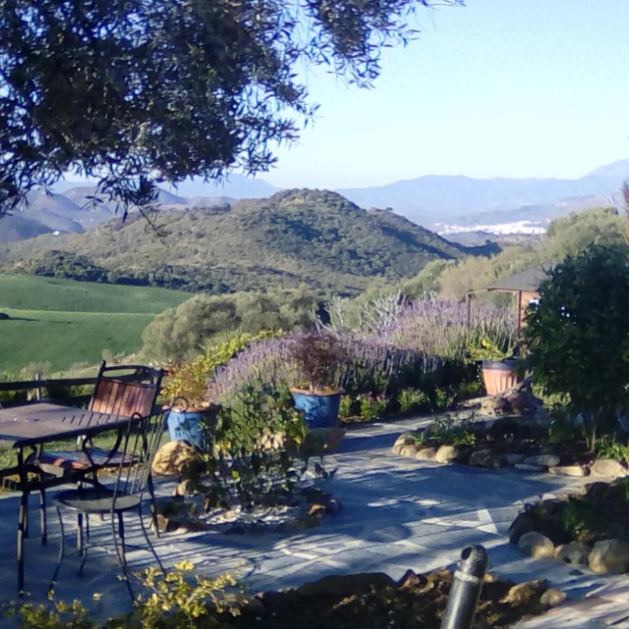 This garden patio offers writers on a Secret World Writing Retreat a little welcome shade and a marvellous view down the Valle del Guadalhorce.